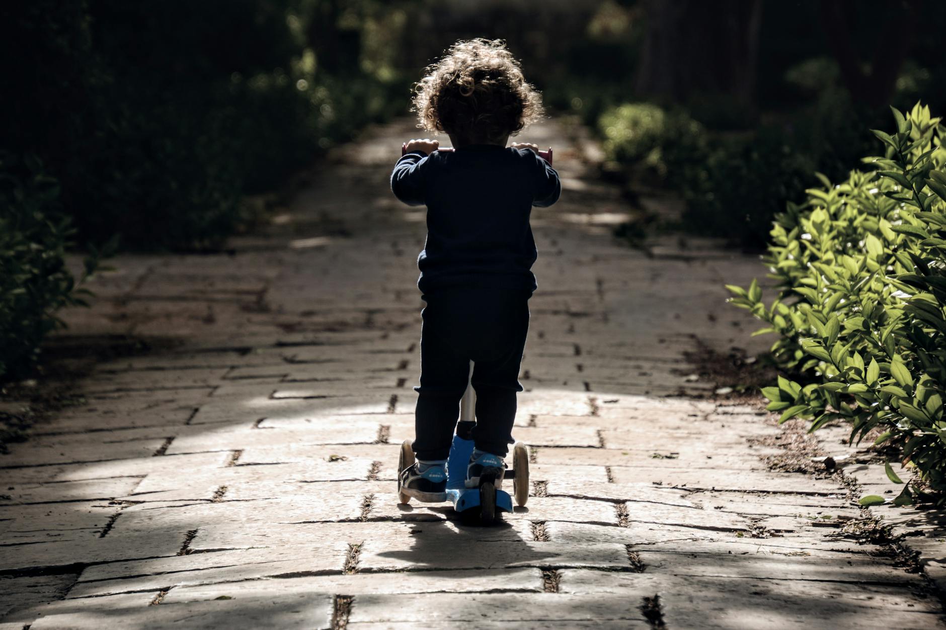 Rear view of a child riding a scooter on a sunlit garden path, immersed in nature.