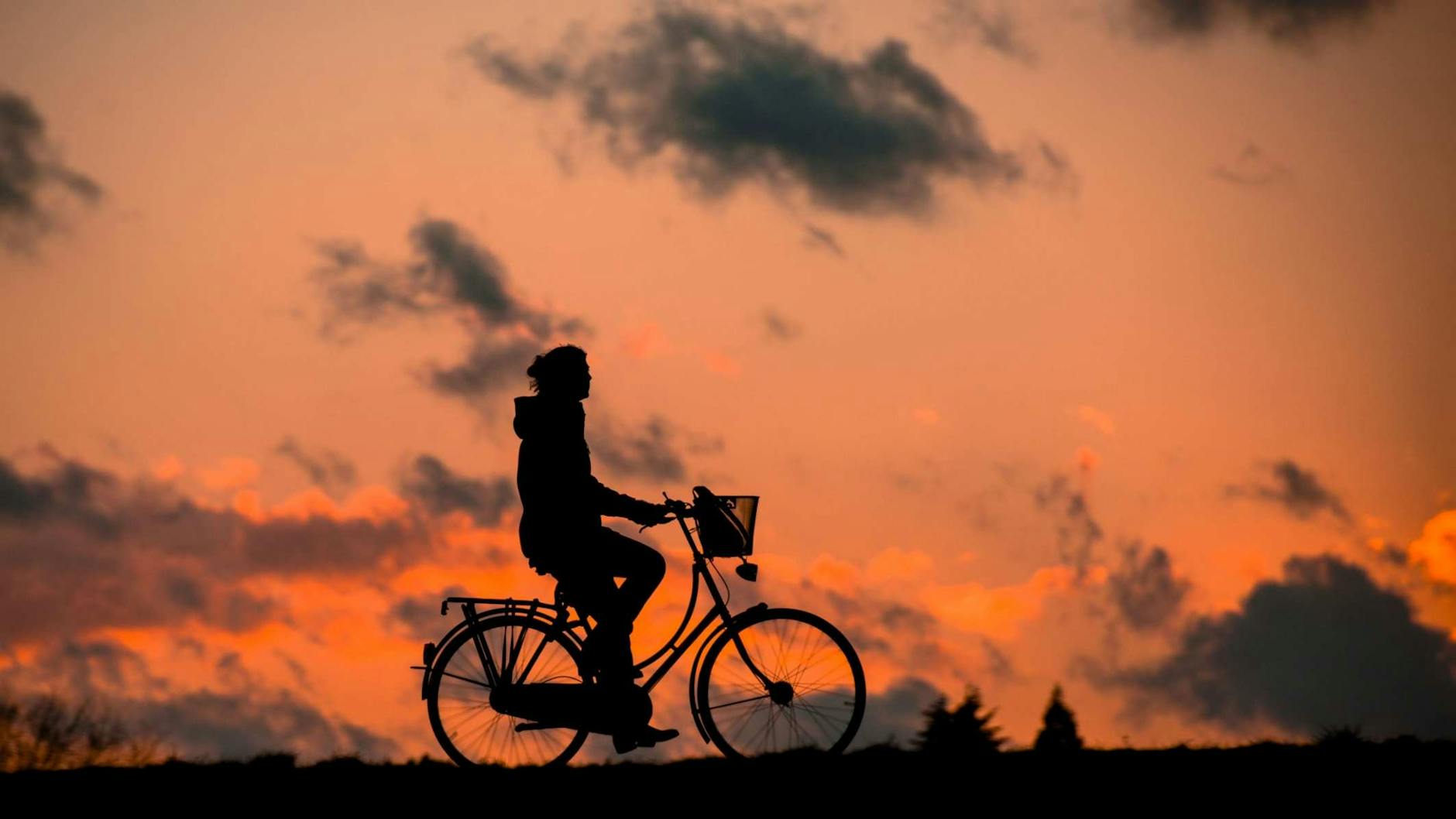 A cyclist rides against a vibrant sunset, capturing the essence of freedom and adventure.