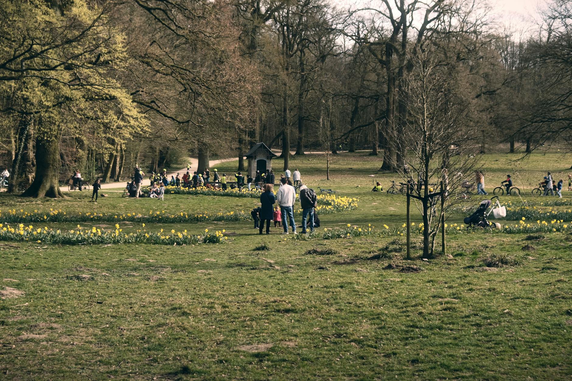 Children Playing Football in the Park