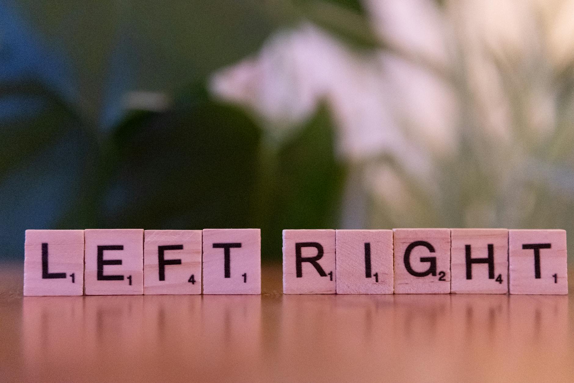 Free stock photo of balance, choice, contrast