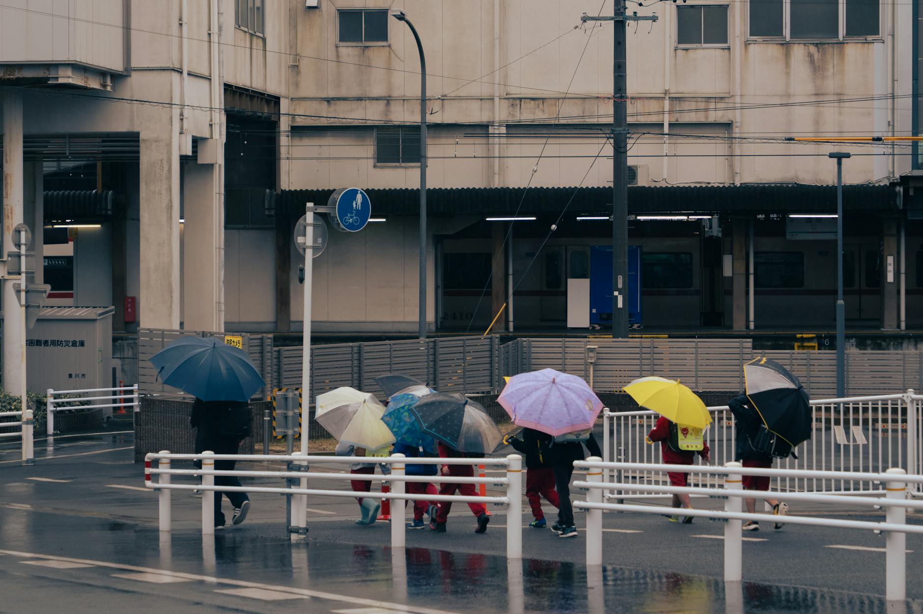 Free stock photo of childrend, japan, rain